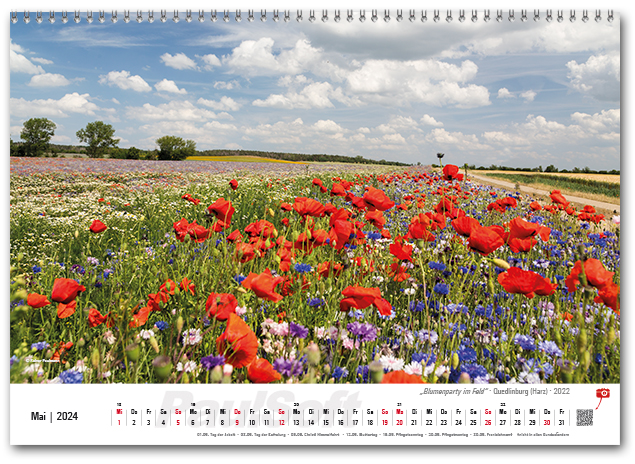 Kalenderbild Mai 2024 'Blumenparty im Feld - Quedlinbug (Harz) - 2022'