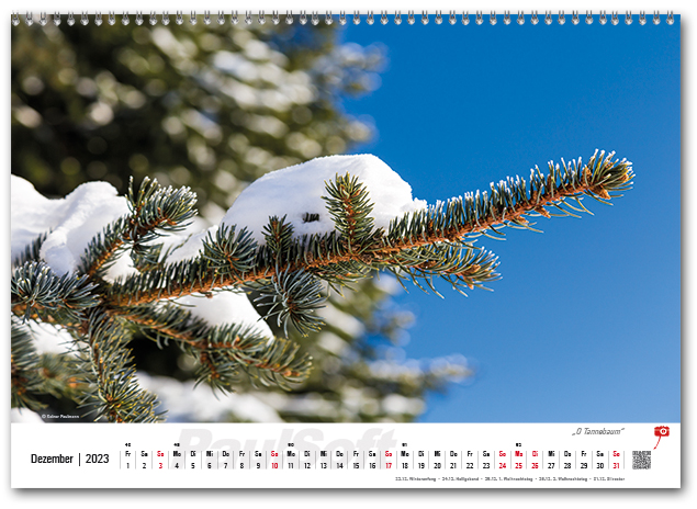 Kalenderbild Dezember 2023 'O Tannebaum'